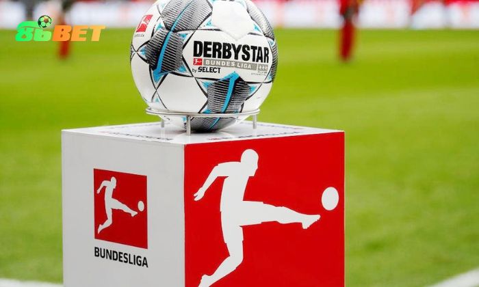 Soi Keo Bong Da Duc 1