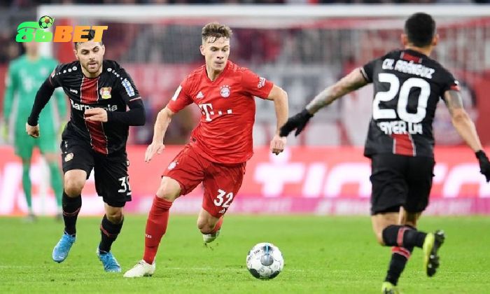 Soi Keo Bong Da Duc 4