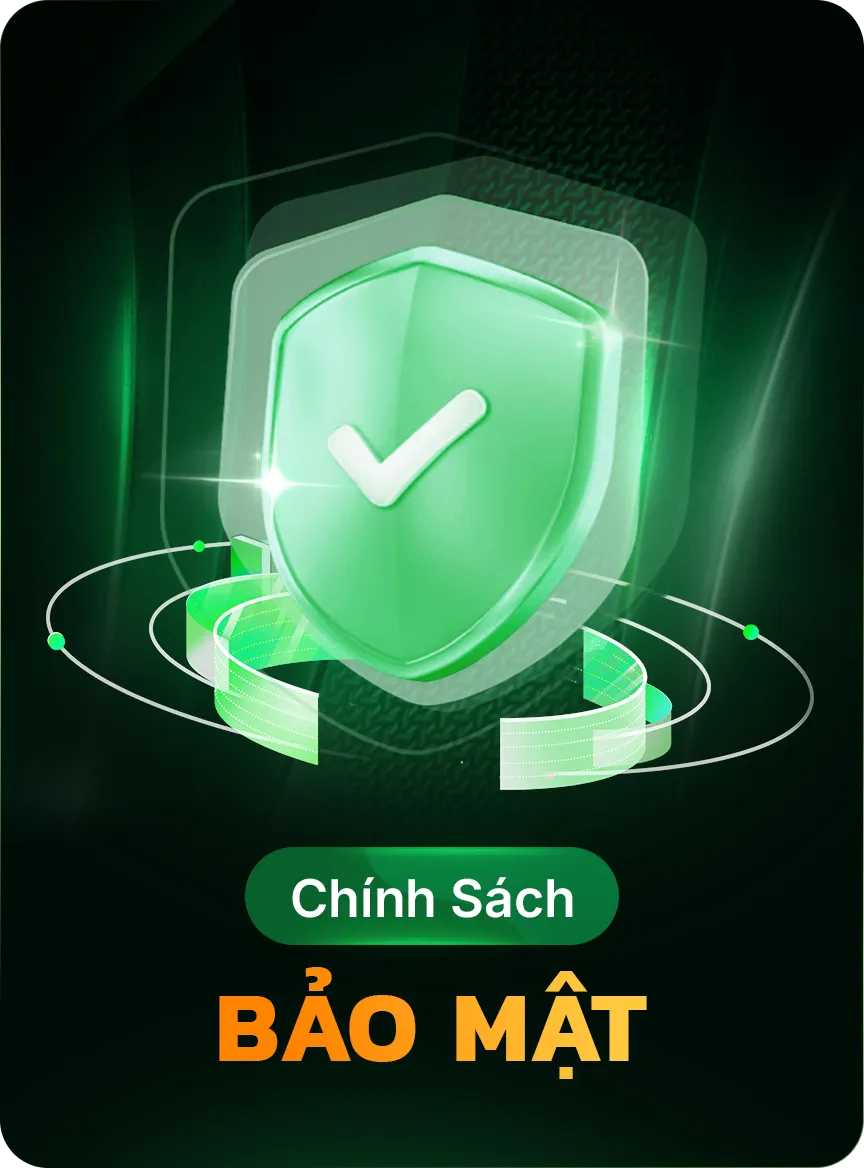 Terms and Conditions