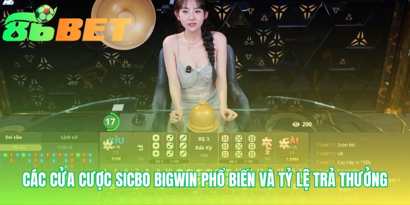 Cac Cua Cuoc Sicbo Bigwin Pho Bien Va Ty Le Tra Thuong