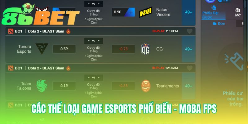 Cac The Loai Game Esports Pho Bien Moba Fps