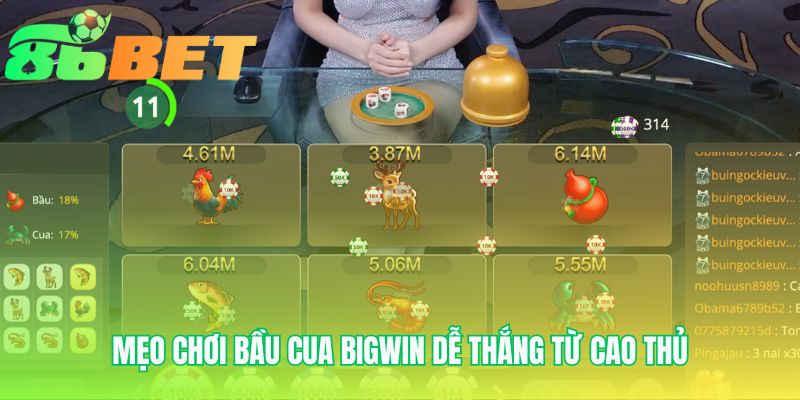 Meo Choi Bau Cua Bigwin De Thang Tu Cao Thu