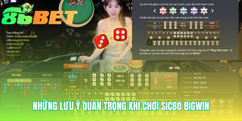 Nhung Luu Y Quan Trong Khi Choi Sicbo Bigwin