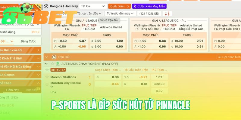 P Sports La Gi Suc Hut Tu Pinnacle