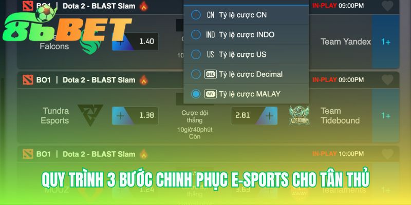Quy Trinh 3 Buoc Chinh Phuc E Sports Cho Tan Thu