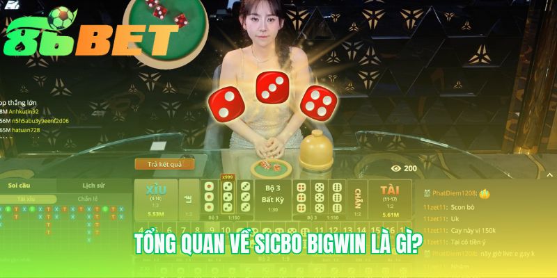 Tong Quan Ve Sicbo Bigwin La Gi